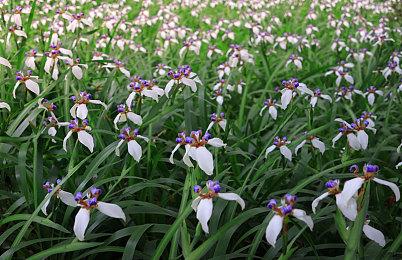 3DM速报：《光环无限》新演示 《地平线西之绝境》也放出新内容